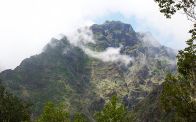 Fajã da Nogueira – entlang der Levada do Pico Ruivo