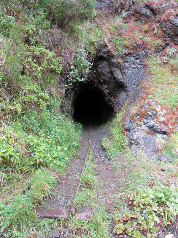 alter Tunnel