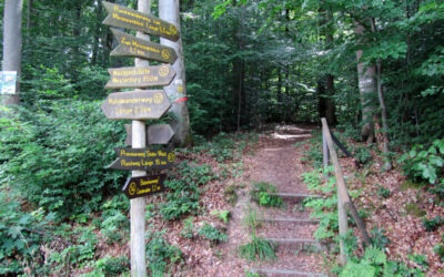 P7 – Premiumwanderweg Söder Wald