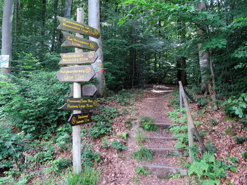 P7 – Premiumwanderweg Söder Wald