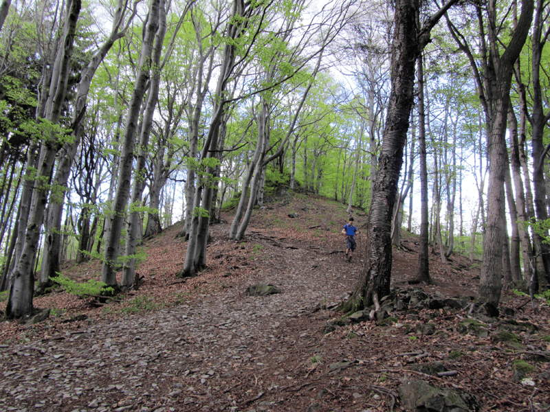Abstieg vom Stellberg
