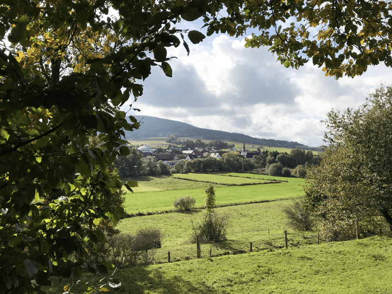 Blick durchs Blätterdach auf Lahrbach