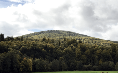 Habelsberg ( Tann )