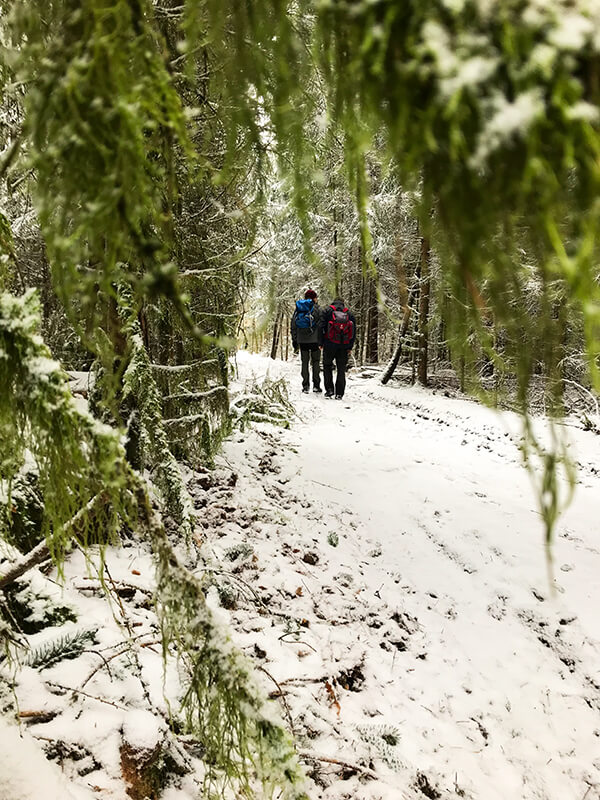 Harry & Basti im im verschneiten Wald