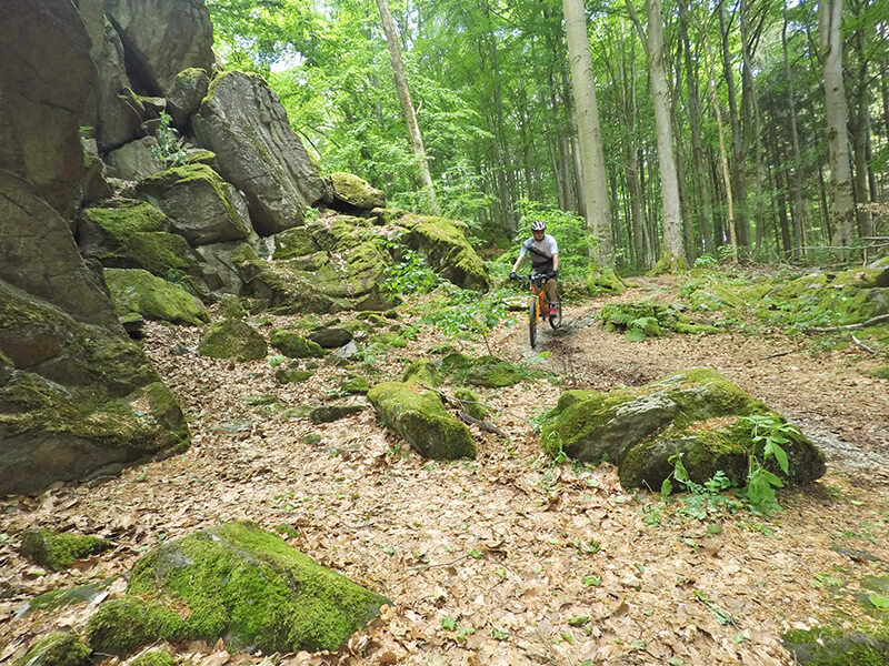 Mountainbike-Tour zur Milseburg