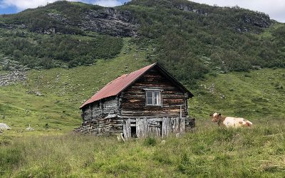 Bergtour zum Bergsee Mykjedalsvatnet