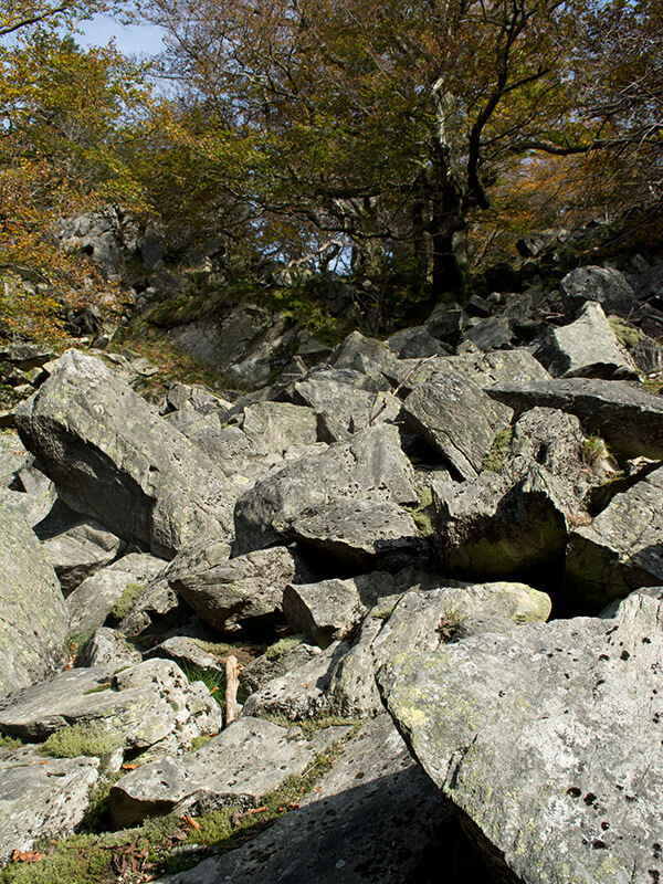 Bubenbader Stein auf dem Weg zur Milseburg