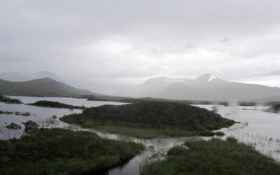 Rannoch Moor, nichts als Moor…