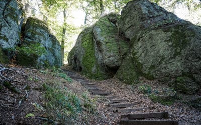Schluchtenwanderung im Thüringer Wald