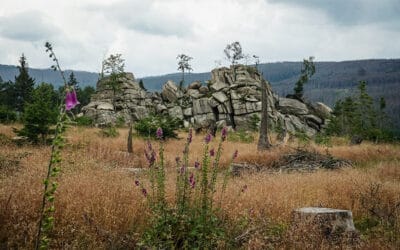 Von Elend zu den Granitklippen am Barenberg