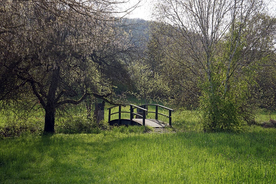 kleine Brücke im Schlossgarten