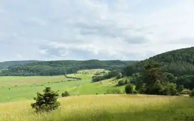 Wandern in der Wiesenthaler Schweiz