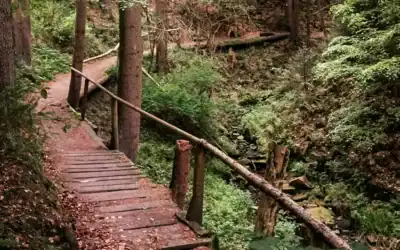 Familientour durch die Lochbachklamm