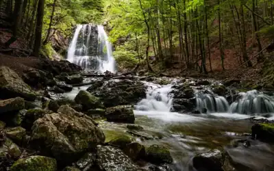 Wanderung zu den Josefsthaler Wasserfällen