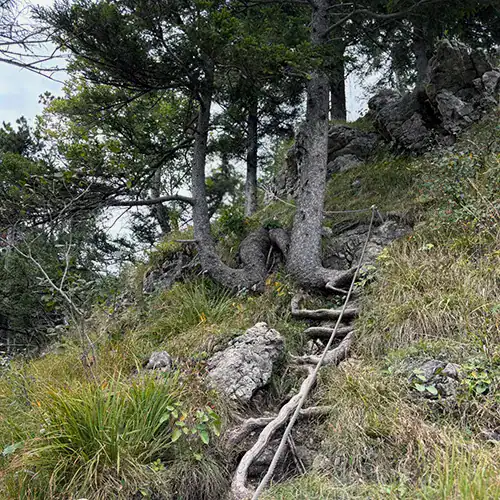 See You on the Outside Ostrachtaler Klettersteig 10 Ausstieg des Ostrachtaler Klettersteigs