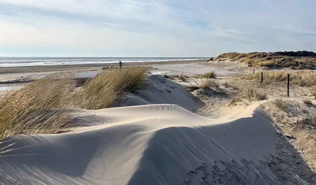 See You on the Outside Radtour Langeoog 01 Naturschutzgebiet Osterhook am östlichen Ende von Langeoog