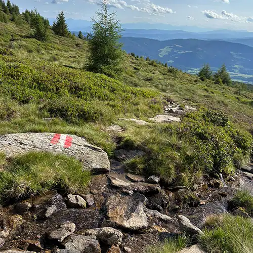 See You on the Outside Zirbitzkogel 16 Wegmarkierung am Bachlauf auf dem Abstieg
